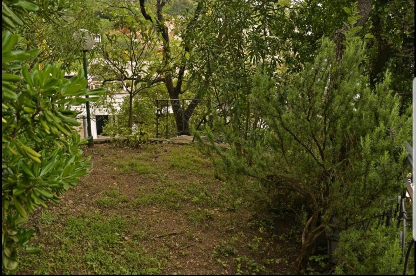 Nerina Apartment Petrovac 외부 사진